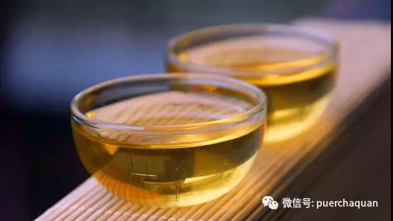 掌握下面这6个概念,你就能与喝茶高手切磋啦!