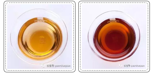 普洱生茶和普洱熟茶大不同,区别在哪?