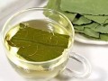 适合秋天喝的茶,全在这里!